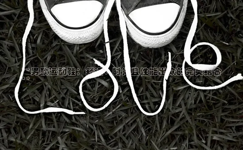 bsports网页版登录官方入口百度安全社区**男款运动鞋：舒适、时尚且性能出众的完美结合
**