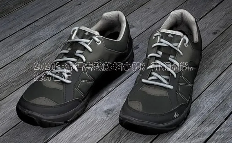 bsport体育官方网站BSPORTS百度搜索资源平台2024年流行春秋款增高鞋：引领时尚，
提升自信