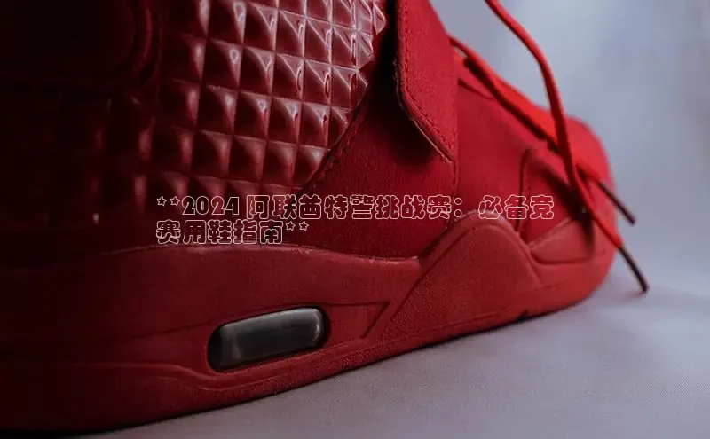 b体育sports百度游戏开放平台**2024 阿联酋特警挑战赛：必备竞
赛用鞋指南**