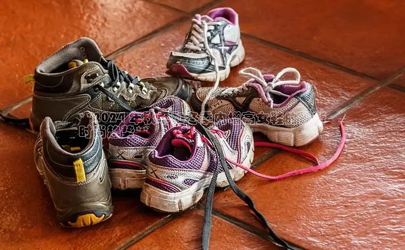 b体育sports顺丰**2024 年秋季和冬季内增高女鞋的最新
时尚趋势**