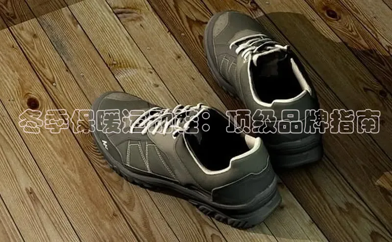 Bsports在线登录入口百度教育 冬季保暖运动鞋：顶级品牌指南