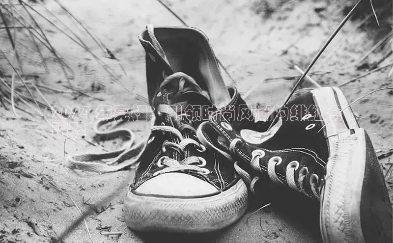 必一运动官网登录入口百度大脑2024 年亮相：引领时尚风潮的绯红高
跟鞋