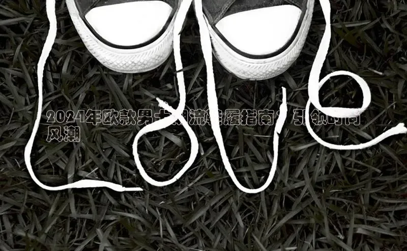 b体育下载入口app百度学术2024年欧款男士潮流鞋履指南：引领时尚
风潮