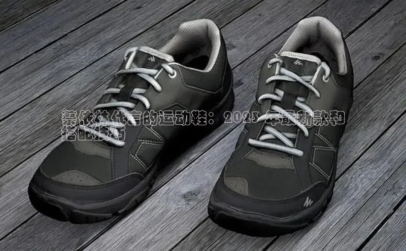 b体育下载入口app极氪智能科技蔡依林代言的运动鞋：2023 年最新款和
搭配技巧