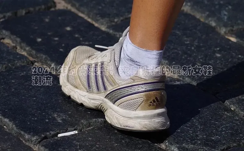 B体育官方入口APP挪威主权基金2024 年时尚来袭：来自新疆的最新女鞋
潮流