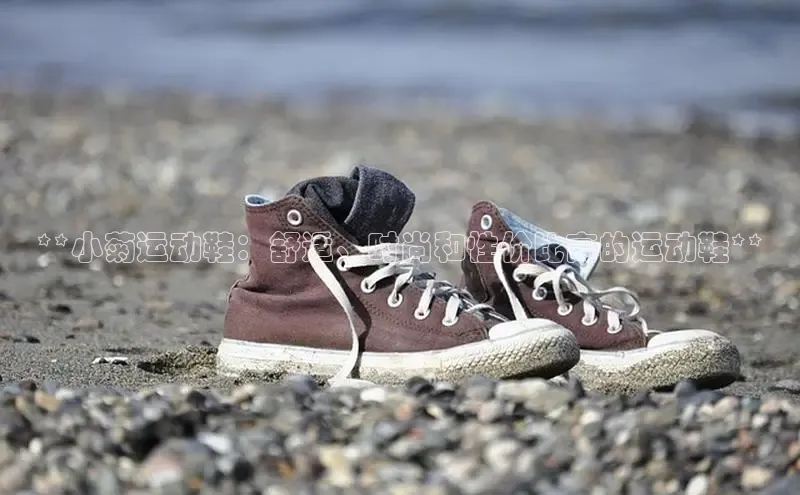 必一运动Bsport官方网站颐驰 06**小菊运动鞋：舒适、时尚和性价比高的运动鞋**