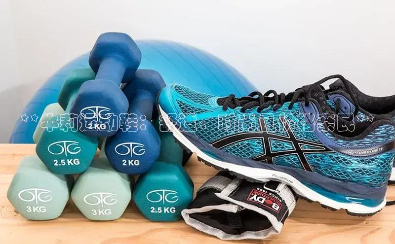 bsports网页版轻美电器**牛莉运动鞋：舒适、时尚且价格亲民**