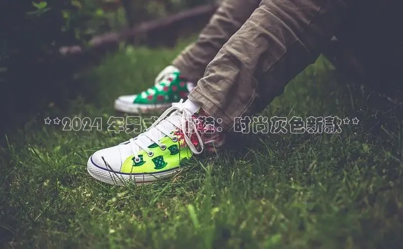 必一运动sport视觉中国**2024 年男式休闲鞋：时尚灰色新款**