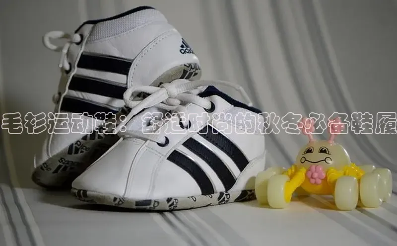 B—sports旧版下载慧博云通毛衫运动鞋：舒适时尚的秋冬必备鞋履