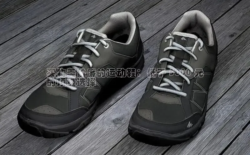 Bsports在线登录入口普信公司买物美价廉的运动鞋：低于 5000 元
的顶级选择
