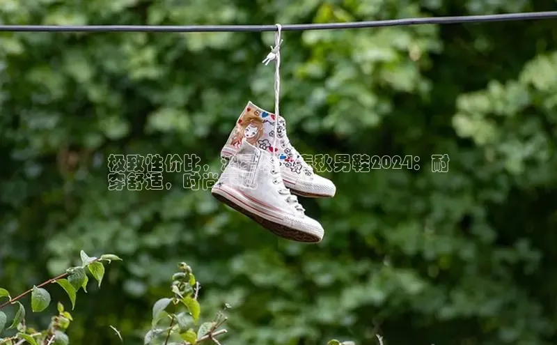 bsports登录入口文心一言极致性价比，鸿星尔克春秋男鞋2024：耐
穿舒适，时尚不凡