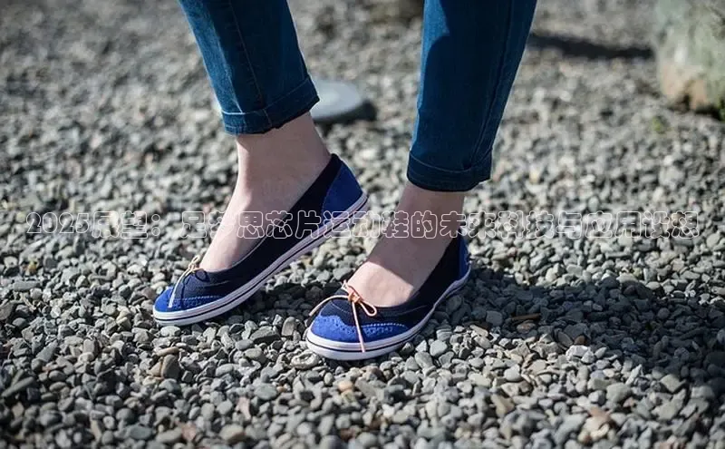 bsports网页版百度游戏2025展望：足梦思芯片运动鞋的未来科技与应用设想