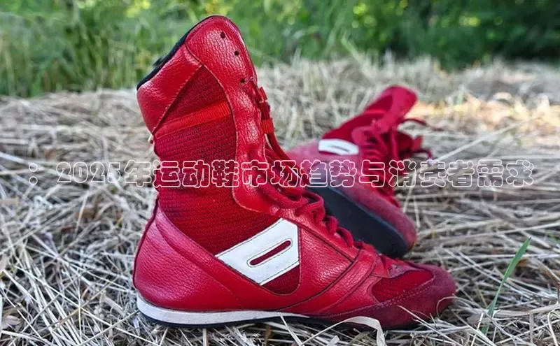 b体育下载入口app百度学术：2025年运动鞋市场趋势与消费者需求