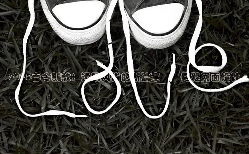 2025春令新款：运动风尚的新篇章——男鞋网面设计