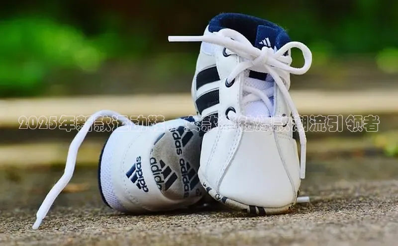 b体育官方体育app下载安卓