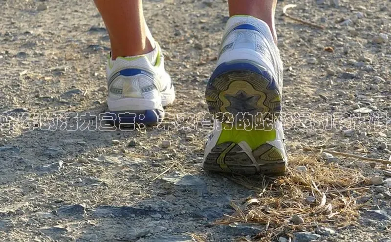 必一运动bsport体育